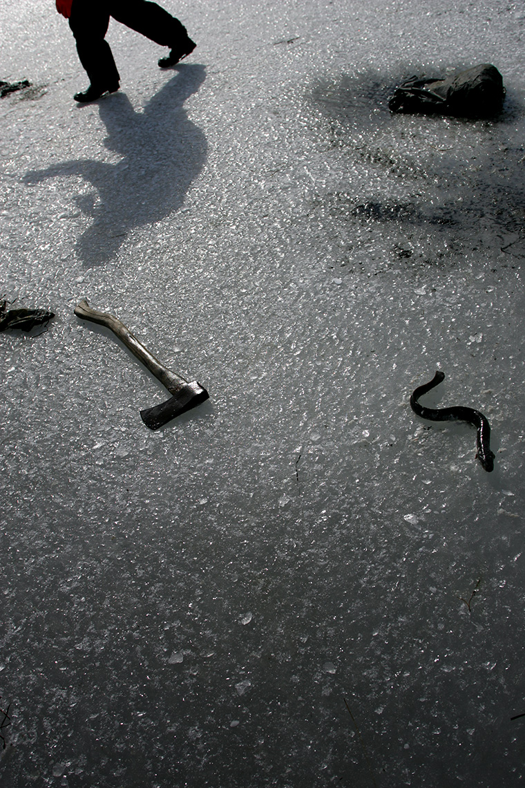 1-forged-8