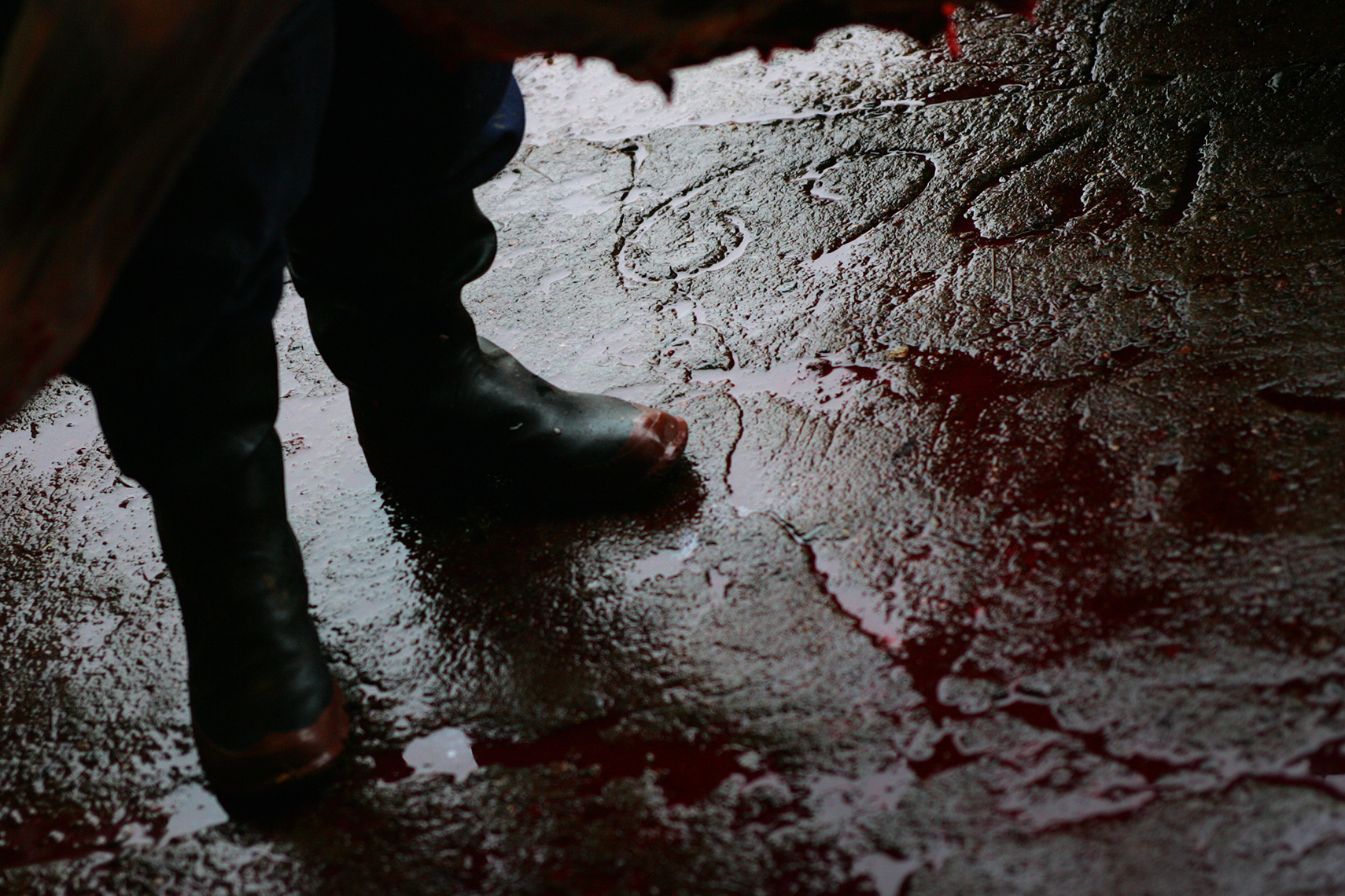 slaughterfloor.jpg